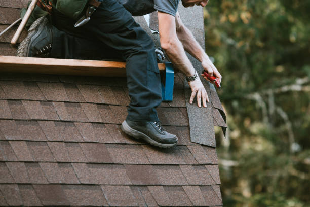 Roof Gutter Cleaning